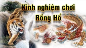 Kinh Nghiệm Chơi Rồng Hổ Sunwin Giữ Vốn Lâu Cho Người Mới
