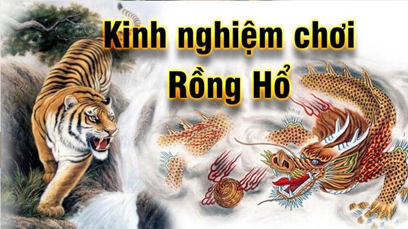 Kinh Nghiệm Chơi Rồng Hổ Sunwin Giữ Vốn Lâu Cho Người Mới