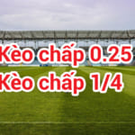 Soi Kèo Nhà Cái 0.25: Chiến Thuật Đi Cửa Trên Hay Cửa Dưới